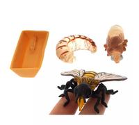 LLTCMYGS Modello di Crescita delle api Montessori Piccola Statua, Set di cicli di Crescita delle api con Simulazione in plastica