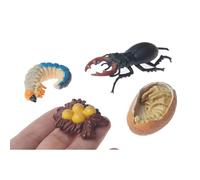 LLTCMYGS Modello di Crescita in plastica Mini Scarabeo Cervo, Giocattolo Modello di educazione Montessori per l'apprendimento precoce