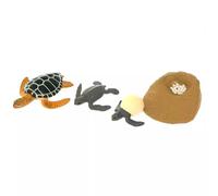 LLTCMYGS Modello di Simulazione della Mini Tartaruga Montessori, Set di Modelli del Ciclo di Crescita della Tartaruga Giocattolo