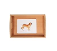 LLTCMYGS Montessori Animal Cognitive Card Insegnamento delle Lingue AIDS, Vassoio in Legno di faggio e schede di ausilio didattico