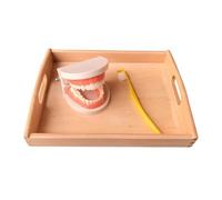 LLTCMYGS Montessori Riconoscimento dei Denti Spazzolatura Insegnamento AIDS, Set di Modelli di Protesi Dentarie Giocattoli