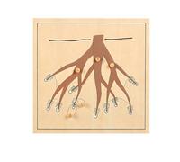 LLTCMYGS Puzzle Montessori di Animali e Piante, Giocattolo per l'Educazione Precoce e la Coordinazione Mano-Occhio,Tree Root