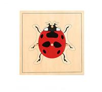 LLTCMYGS Puzzle Montessori di Animali e Piante, Giocattolo per l'Educazione Precoce e la Coordinazione Mano-Occhio,Ladybug