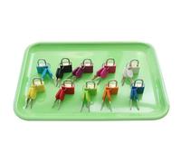 LLTCMYGS Set di Lucchetti e Chiavi Montessori, 10 Lucchetti Educativi Colorati con Chiavi Abbinate,Plastic Trays