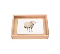 LLTCMYGS Set di Materiali didattici per l'insegnamento del linguaggio della classificazione cognitiva degli Animali, Materiale di anteprima delle schede sugli Animali Montessori