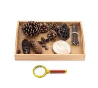 LLTCMYGS Set di osservazione con Lente d'Ingrandimento Montessori in Materiali Naturali, Esercizio per la capacità di osservazione dei Bambini