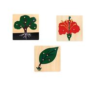LLTCMYGS Set di Puzzle con pomello per Piante, Puzzle Montessori in Legno per Piante e Fiori (3 Pezzi)