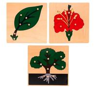 LLTCMYGS Set di Puzzle in Pannelli di Legno Montessori Plant, Puzzle per l'educazione della Prima Infanzia (3 Pezzi)