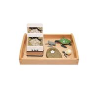 LLTCMYGS Set Modello di Crescita della Tartaruga Montessori, Modello di Animale e Giocattoli linguistici corrispondenti alle Carte