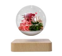 lluoqian Gift for Men Globo di Fiori conservati Maglev, Decorazione e Regalo Romantico for San e Compleanno(Light Wood Grain Red)