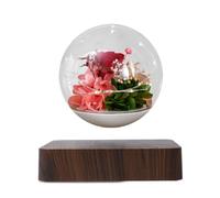 lluoqian Gift for Men Globo di Fiori conservati Maglev, Decorazione e Regalo Romantico for San e Compleanno(Dark Wood Grain Red)