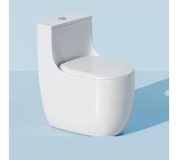 lluoqian WC Bidet WC con Scarico sifonico, WC Elettrico con Scarico Grande a Risparmio idrico for Piccole Case, WC da Bagno(Pit Distance 350mm)