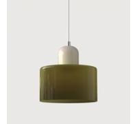 LLXDFUU Light a sospensione per il succuffolotto per centesimi per lampada a sospensione mista per illuminazione a sospensione moderna per pendente a sospensione per allievo a sospensione per soggiorn