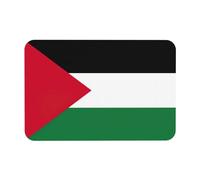 LMNUDS Tappetino da bagno con stampa bandiera della Palestina, tappetino da doccia in terra di diatomee, antiscivolo per pavimento del bagno, design compatto, 60 x 40 cm