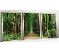 Lmovutcom Set di 3 stampe su tela con foresta nel bosco, senza cornice, vista panoramica di un sentiero nel bosco con alberi ad alto fusto, poster, decorazioni per soggiorno, camera da letto, ufficio