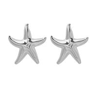 LMRJHAZ Orecchini a Stella a Stella a Stella Grosso per Donne ipoallergenico Oro bigo Oceano di Marca del Grande Fascino percorsa per Le Orecchie penzolanti per Le Orecchie Pericolose per Le Vacanze