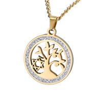 LMRJHAZM Star di David Necklace for Women And Men, Stella di David Collana Zirconia cubica 925 esagramma Argento Sterling Rotondo Rotondo a Pendente Cavo ebraico Collana Stella ebraica per Donne,