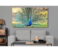 LMYCHENG Quadro su tela raffigurante un pavone, stampe di animali con immagini di pavoni verdi, per soggiorno, decorazione per ufficio (70x100 cm/senza cornice)