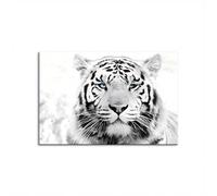 LMYCHENG Stampa artistica su tela con tigre in bianco e nero - Dipinti sulla fauna selvatica, poster e stampe di animali per soggiorno e camera da letto (70x100 cm/cornice interna)