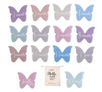 Lnhgh Cartolina mensile, Carta di Crescita - Carte di annuncio per bambini in acrilico | Belle carte con segno "Ciao" da 1 a 12 mesi per il primo anno