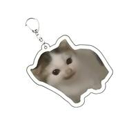 Lnhgh Portachiavi Gattino - Acrilico Portachiavi Gatto - Charm Animale Accessorio Moda Per Donna Zaino Borsa Regalo Scolastico