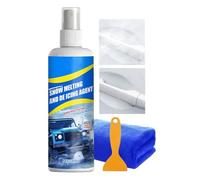 Lnhgh Sbrinatore Parabrezza | 100ml Agente Rapido per La Rimozione della Neve,Spray Sbrinante per Il Parabrezza con Raschietto E | per Veicoli Camion SUV Durante l Inverno con Ghiaccio sui Vetri