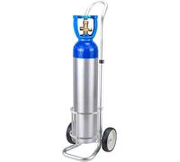 LNNNW Montaggio a parete per cilindro Carrello porta bombole, supporto fisso for bombole di gas in lega di alluminio con 2 ruote, for case di cura/reparti/cliniche/fabbriche(16.8cm/6.6 inch)