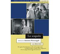 Lo Scapolo (DVD) Sordi Manfredi Milo