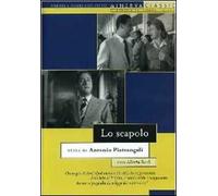 Lo Scapolo (DVD) Sordi Manfredi Milo