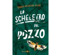 Lo scheletro del pozzo
