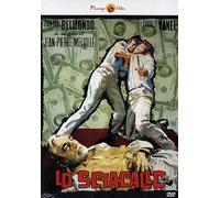 Lo sciacallo