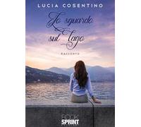 Lo sguardo sul lago
