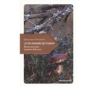 Lo splendore dei funghi. Piccola narrazione sui piaceri della cerca