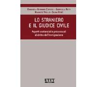 Lo straniero e il giudice civile. Aspetti sostanziali e processuali di diritto dell'immigrazione