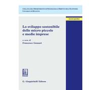Lo sviluppo sostenibile delle micro piccole e medie imprese