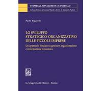 Lo sviluppo strategico-organizzativo delle piccole imprese