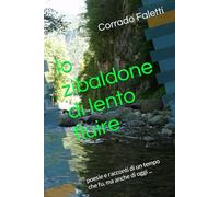 lo zibaldone di lento fluire: poesie e racconti di un tempo che fu, ma anche di oggi ...