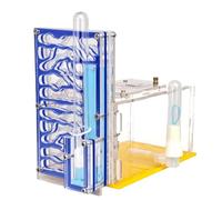 LOABXYUZ Nido di formiche Trasparente for la Riproduzione, Fai da Te, Fattoria di formiche, Habitat for la Decorazione della Giornata dei Bambini, osservazione, Blu