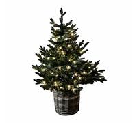 Loberon Albero Decorativo Mantilly, Verde