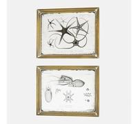 Loberon Coppia di specchi Decorati Marivelles, Marrone Antico/Argento