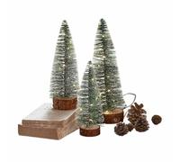 Loberon Thalindra Set di 3 alberelli Decorativi con luci a LED - Illuminazione a LED Bianca Calda - Leggera Finitura innevata, Verde/Bianco/Marrone