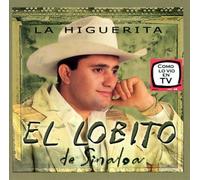 Lobito De Sinaloa - Higuerita