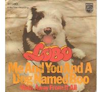 LOBO - me & you & a dog named boo 45 rpm single