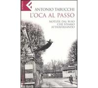 L'oca al passo. Notizie dal buio che stiamo attraversando