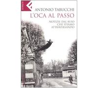 L'oca al passo. Notizie dal buio che stiamo attraversando