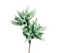L'Oca Nera Agave Verde Antico Eva - polietilene espanso 100h 1P218