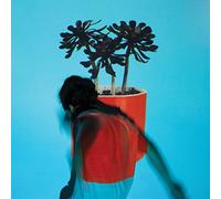 Local Natives - Sunlit Youth (2 LP)