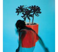 Local Natives Sunlit Youth (Vinyl LP)