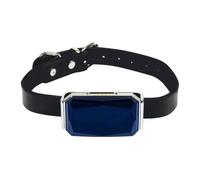Localizzatore GPS G12p Pet 2G Collare di posizione GPRS impermeabile intelligente universale per dispositivo di localizzazione di posizionamento di cani e gatti With Box