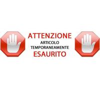 Localizzatore GPS Professionale 15 Giorni per Controllo Investigativo